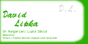 david lipka business card